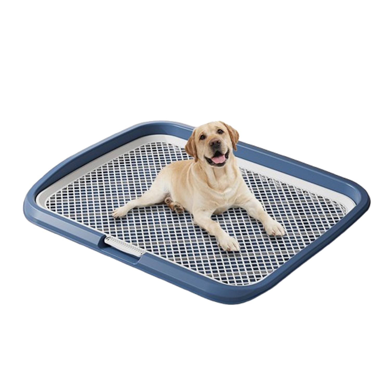 Amazon | 犬 トイレ メッシュ ワイド 大型犬 ワイド いたずら防止